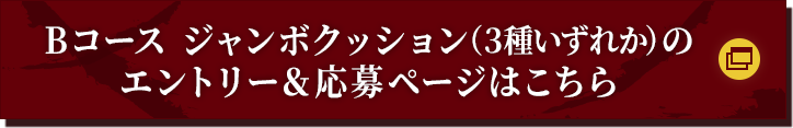 Bコース ジャンボクッション（３種いずれか）のエントリー＆応募ページはこちら