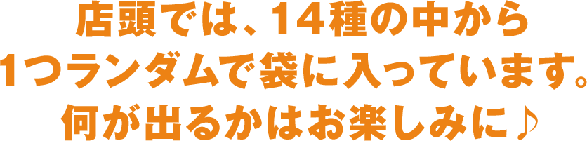 店頭では、14種の中から1つランダムで袋に入っています。何が出るかはお楽しみに♪