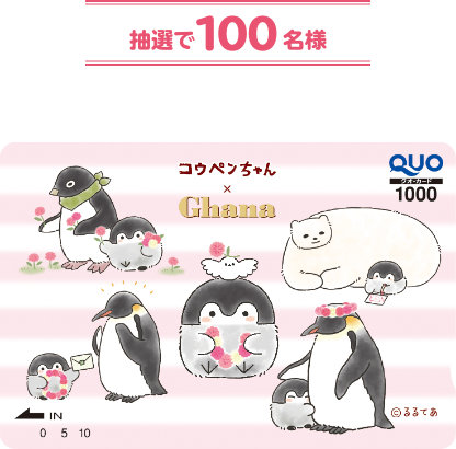 抽選で100名様