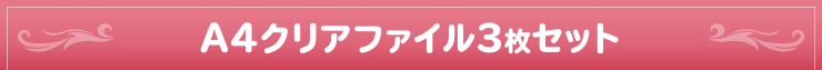 A4クリアファイル3枚セット