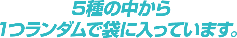 5種の中から1つランダムで袋に入っています。