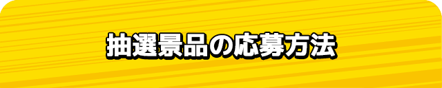 抽選景品の応募方法