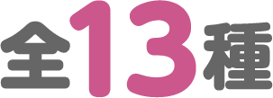 全13種