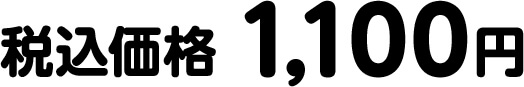 税込価格 1,100円