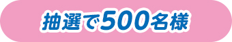 抽選で500名様