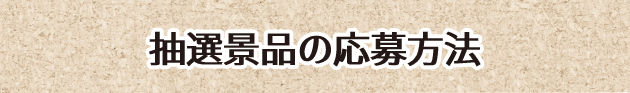 抽選景品の応募方法