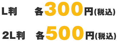 L判各350円（税込）2L判各500円（税込）