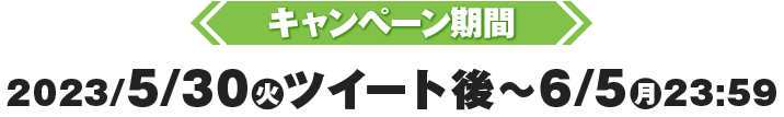 キャンペーン期間2023/5/30(火)ツイート後〜6/5(月)23:59