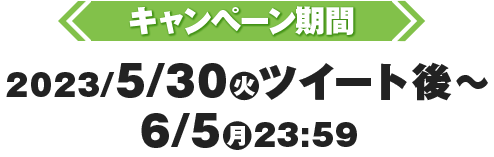 キャンペーン期間2023/5/30(火)ツイート後〜6/5(月)23:59