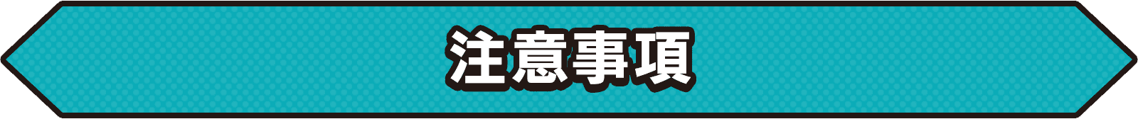 注意事項