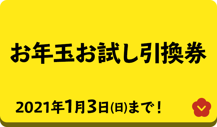 お年玉お試し引換券