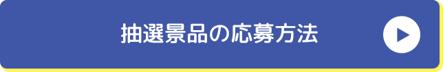 抽選景品の応募方法