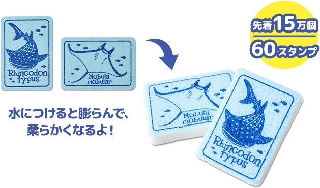 先着15万個 60スタンプ