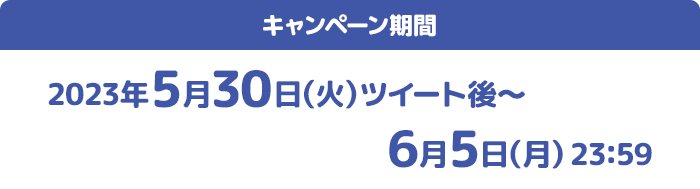 キャンペーン期間 2023年5月30日(火)ツイート後〜6月5日(月)23:59