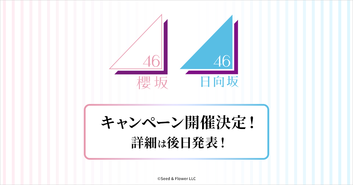 櫻坂46くじ　ロット Lottery] Sakurazaka46! A super bargain lottery! If you're a