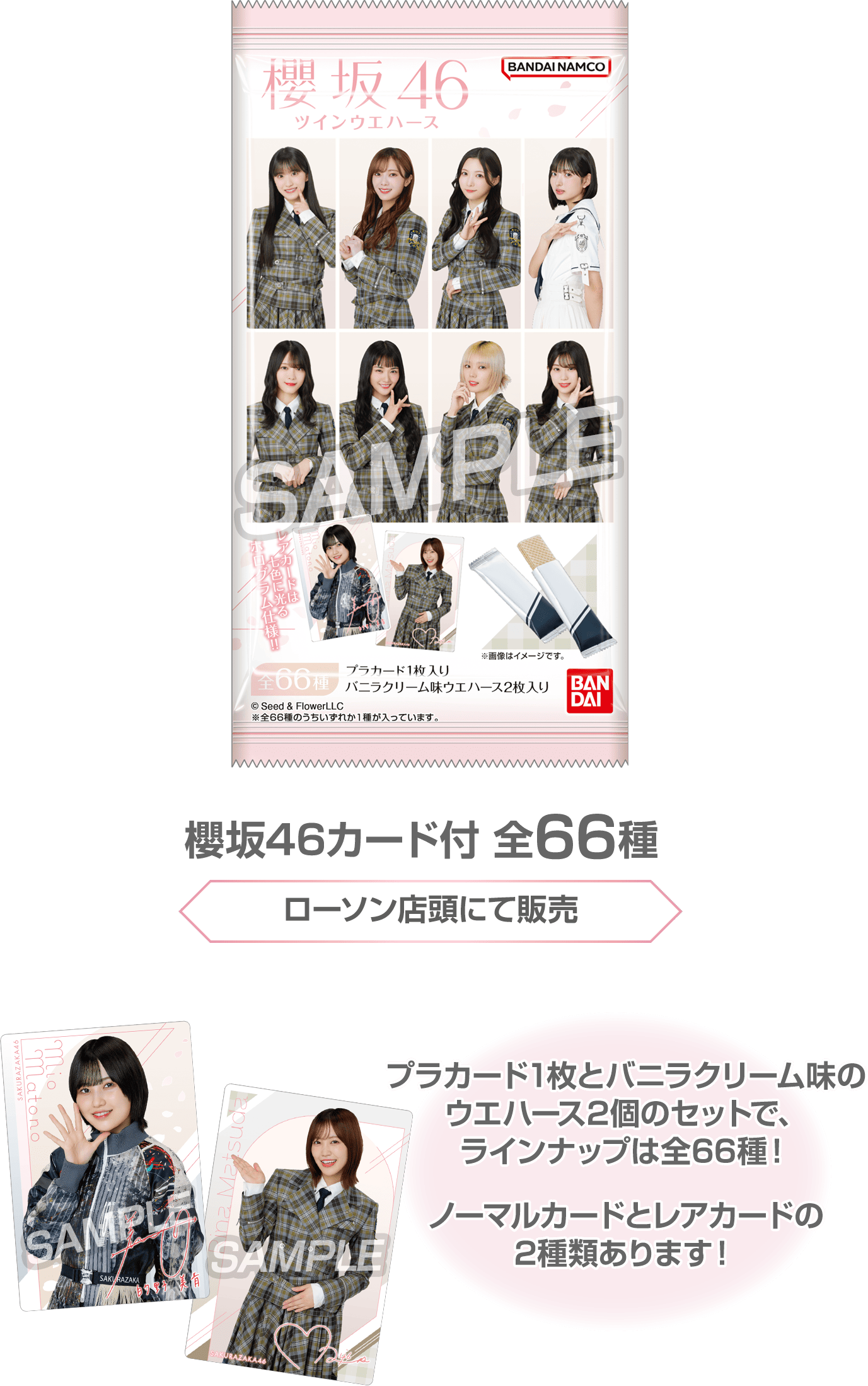 櫻坂46カード付 全66種（ローソン店頭にて販売）プラカード1枚とバニラクリーム味のウエハース2個のセットで、ラインナップは全66種！ノーマルカードとレアカードの2種類あります！