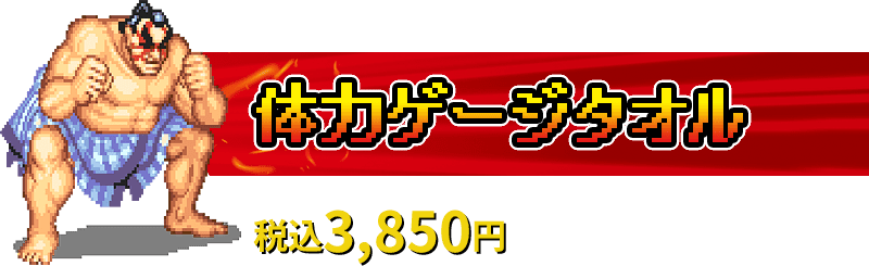 体力ゲージタオル 税込3,850円