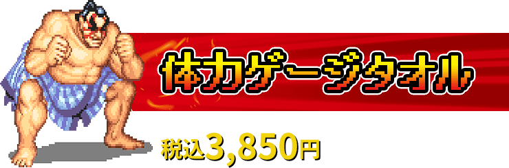 体力ゲージタオル 税込3,850円