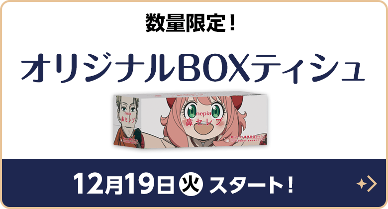 数量限定！オリジナルBOXティシュ