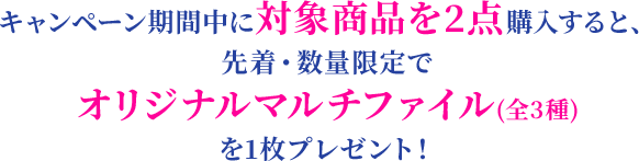 キャンペーン期間中に対象商品を2点購入すると、先着・数量限定でオリジナルマルチファイル(全3種)を1枚プレゼント！