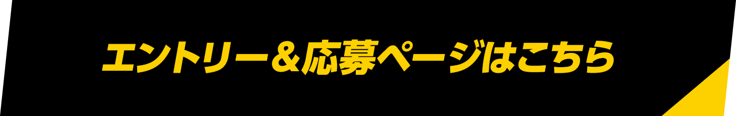 エントリー＆応募ページはこちら