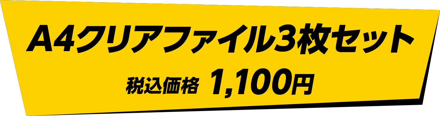 A4クリアファイル3枚セット　税込価格 1,100円