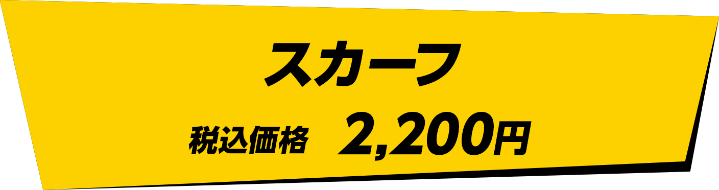 スカーフ　税込価格　2,200円