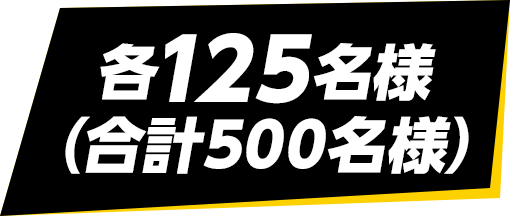 各125名様（合計500名様）