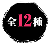 全12種