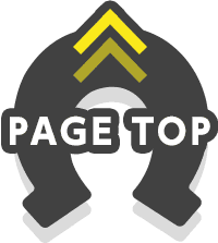 PAGE TOP