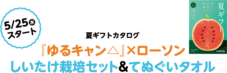 夏ギフトカタログ『ゆるキャン△』×ローソン しいたけ栽培セット&てぬぐいタオル