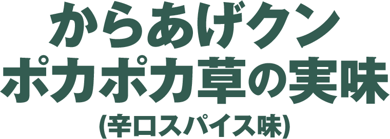 からあげクンポカポカ草の実味(辛口スパイス味)