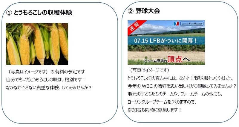①とうもろこしの収穫体験　②野球大会
