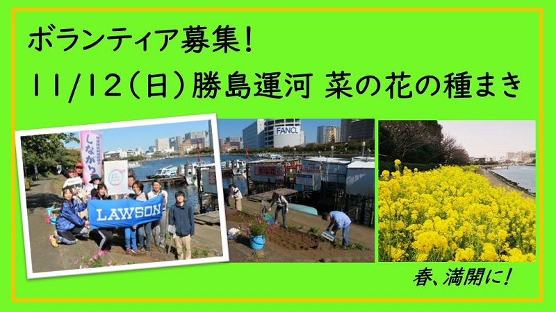 「菜の花種まき」ボランティア活動