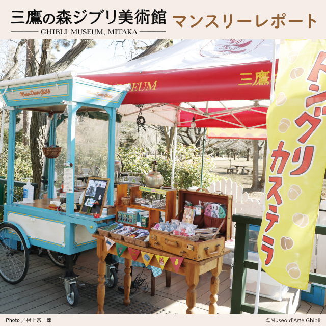 【即購入可】レア　三鷹の森ジブリ美術館限定　コレクションボックス 即購入可】レア 三鷹の森ジブリ美術館限定 コレクションボックス