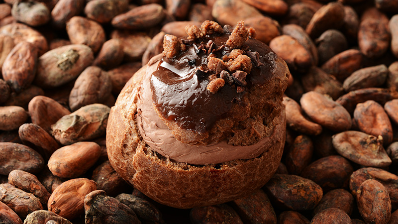 BEAN to BAR CHOCOLATE CREAM CHOU A LA CREME -NUTTY-