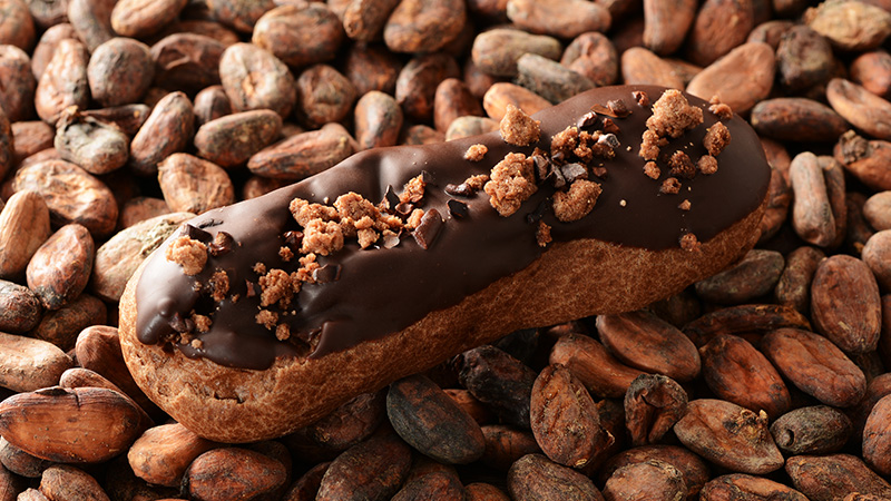 BEAN to BAR CHOCOLATE CREAM ECLAIR -FRUITY-