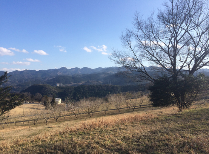 大分県日田市