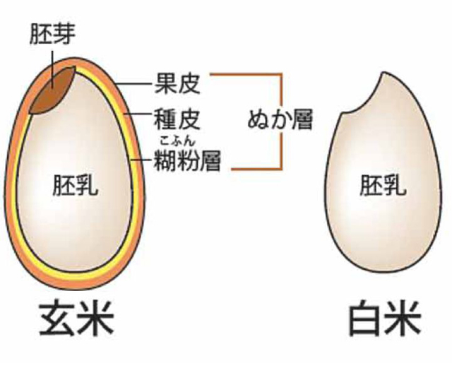 図