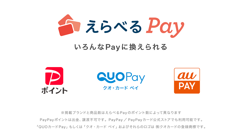 いろんなPayに換えられる、えらべるPay