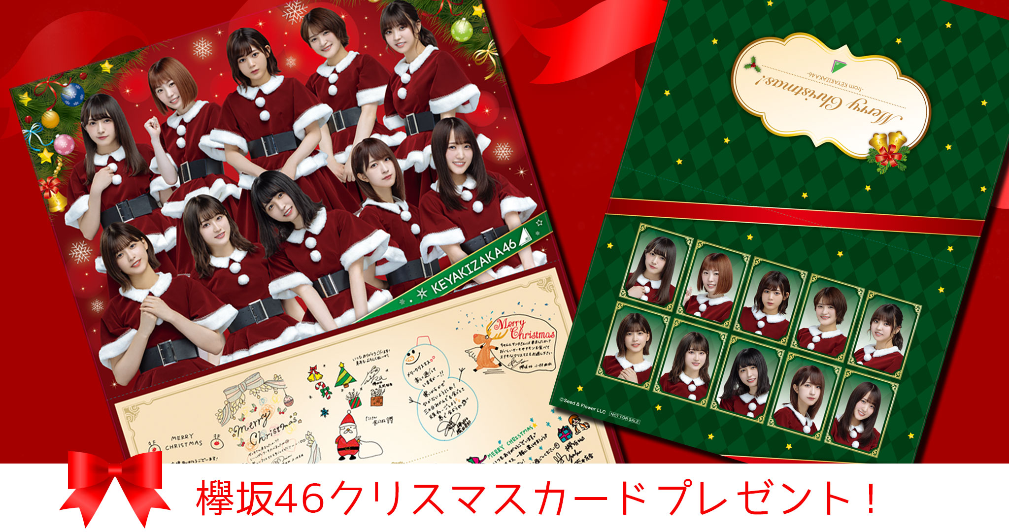 欅坂46クリスマスカードプレゼント