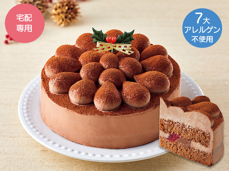 クリスマスチョコレートケーキ５号