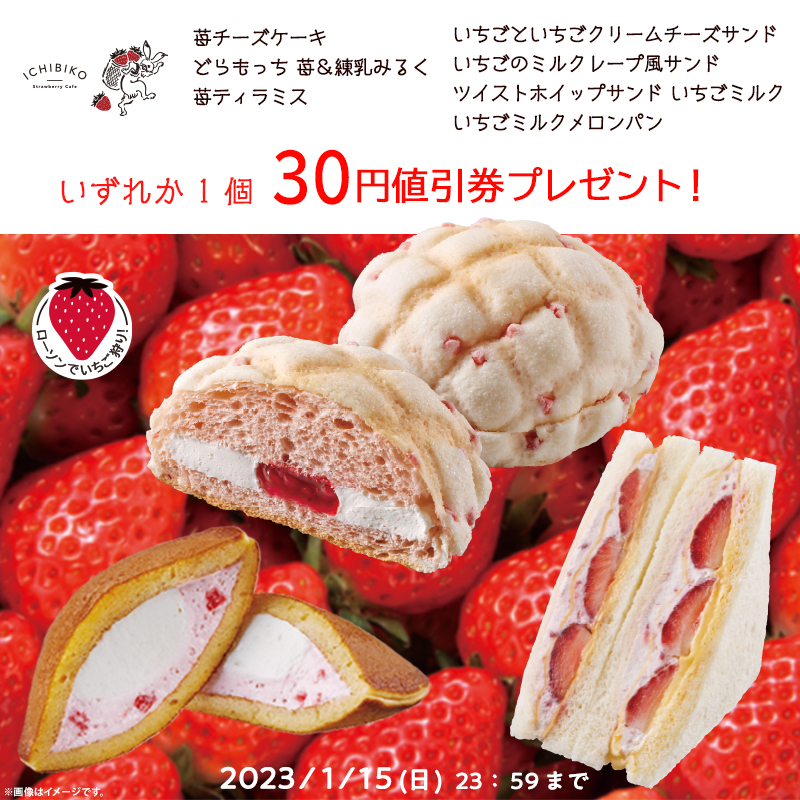 1月11日スタート♪「ICHIBIKO(いちびこ)」監修の商品をおトクに