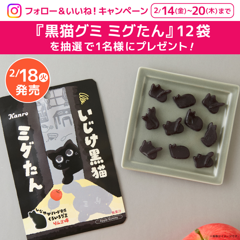 黒猫グミ ミグたん／Instagramフォロー＆いいね！キャンペーン