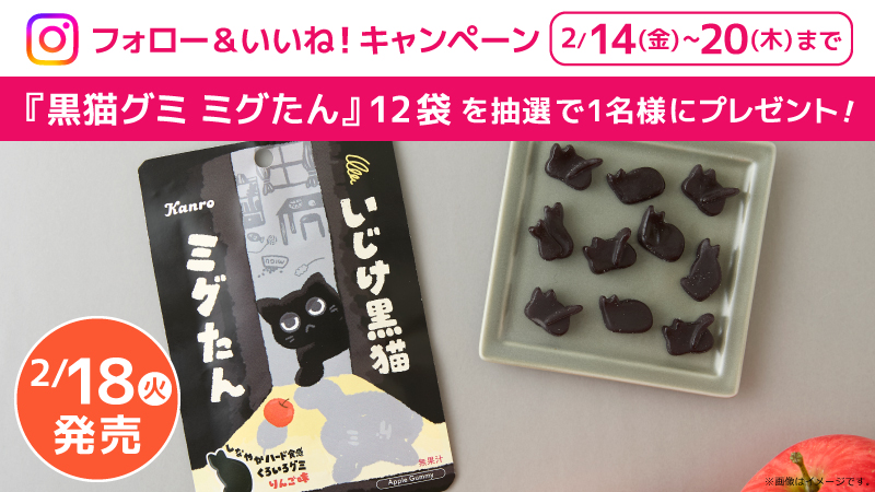 Instagramフォロー＆いいね！キャンペーン