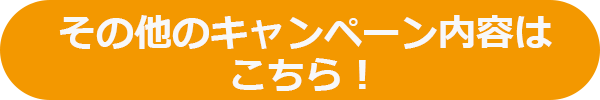 その他のキャンペーン内容はこちら！