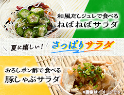 7/1発売！夏のえらべるデリ2品