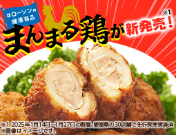 肉の食感・厚みに大大大満足！肉を満喫したい日はまんまる鶏
