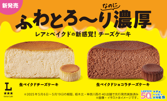 レアとベイクドの新感覚！チーズケーキ