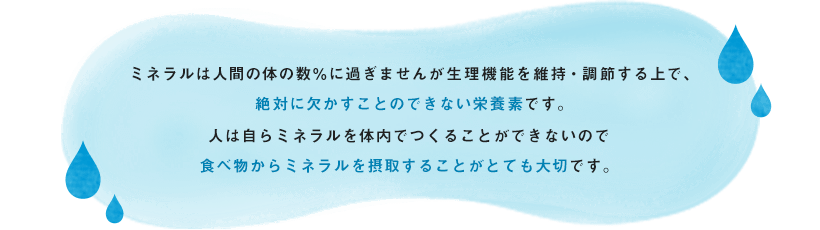 ミネラルは人間の体の数％に過ぎませんが生理機能を維持・調節する上で、絶対に欠かすことのできない栄養素です。人は自らミネラルを体内でつくることができないので食べ物からミネラルを摂取することがとても大切です。